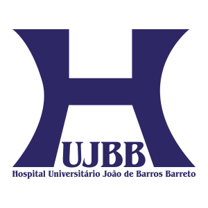 Hospital Barros Barreto logo PNG SVG Vector