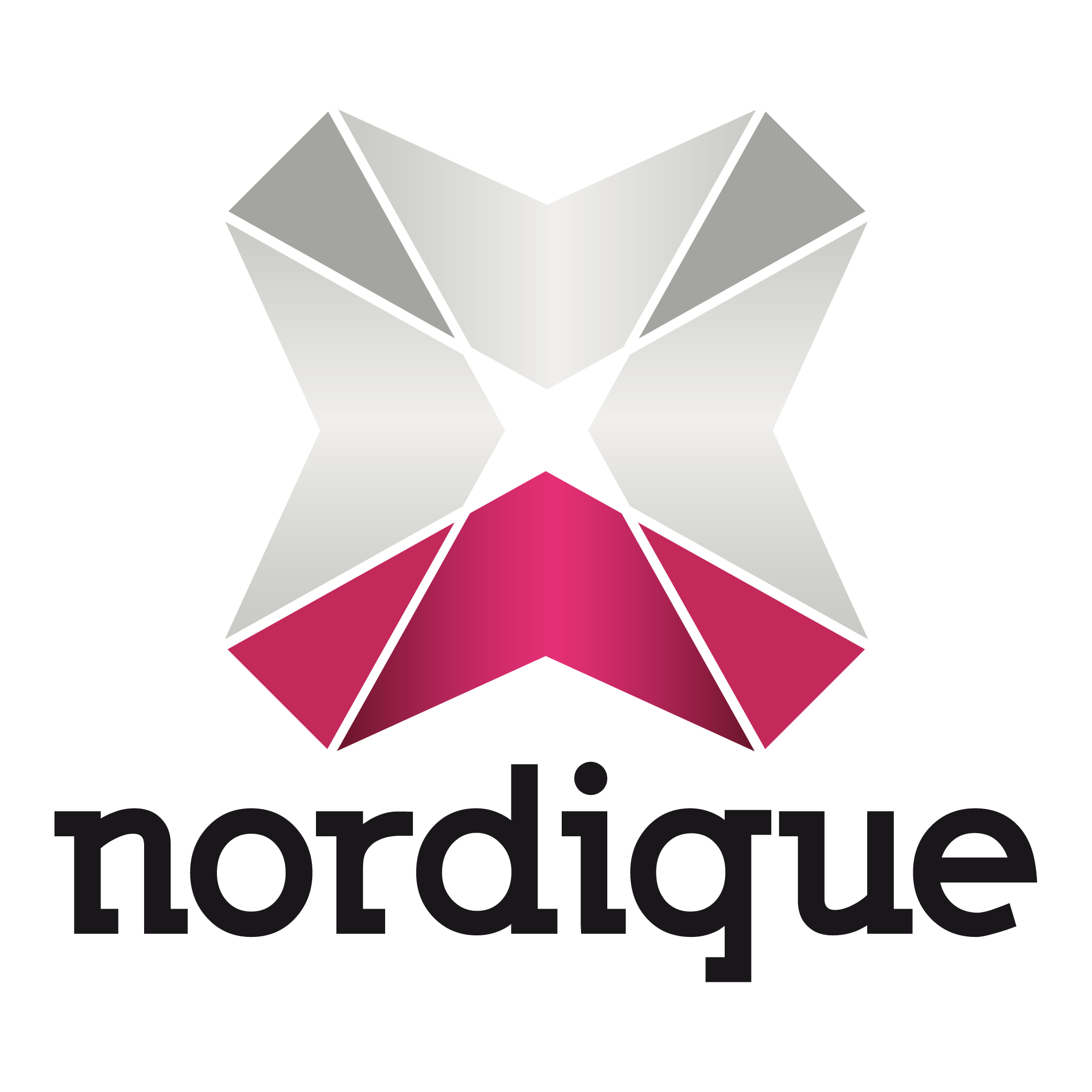 Nordique B.V. Logo PNG SVG Vector Nordique B.V. Logo PNG SVG Vector