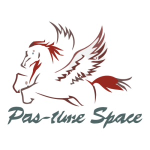 Pas time Space Logo PNG SVG Vector