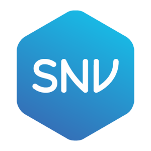 SNV Logo PNG SVG Vector
