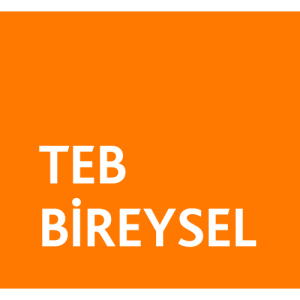 TEB Bireysel Logo PNG SVG Vector