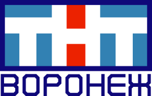 TNT Voronezh Logo PNG SVG Vector