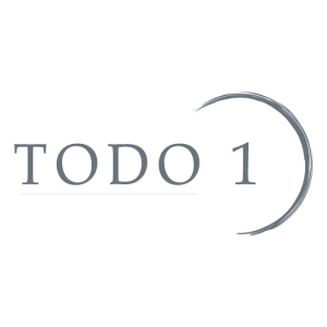 Todo 1 Logo PNG SVG Vector 2