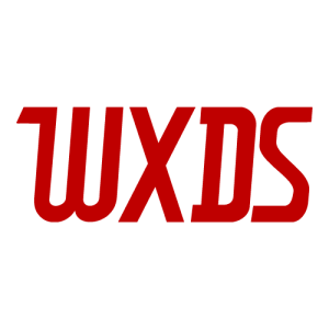 WXDS 2019 Logo PNG SVG Vector