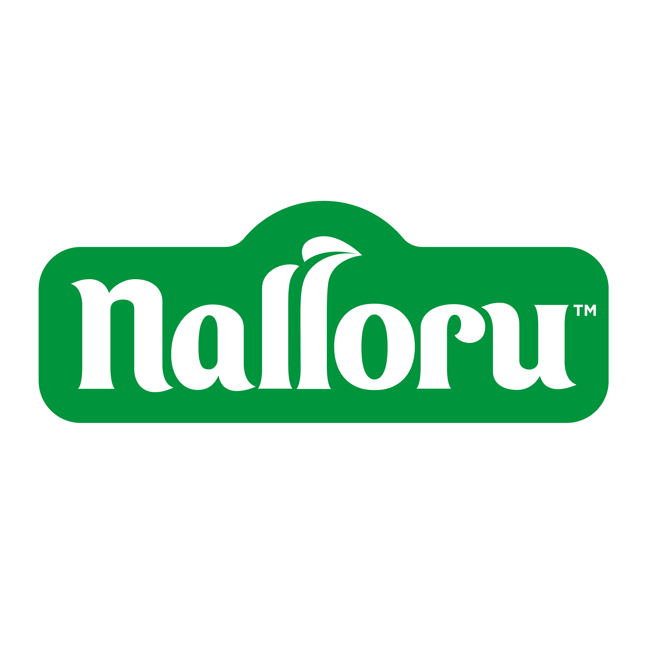 nalloru Logo PNG SVG Vector nalloru Logo PNG SVG Vector