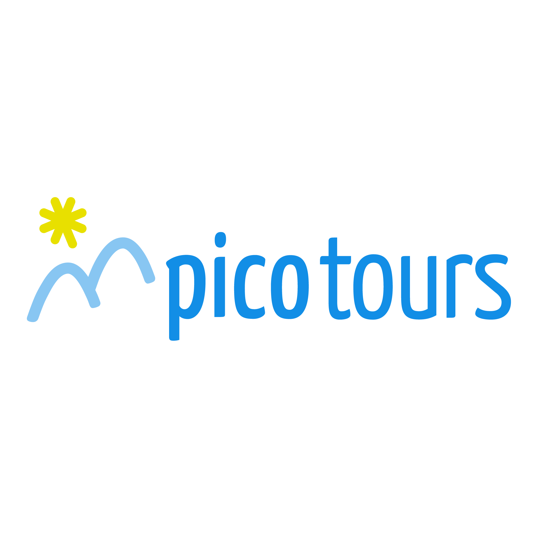 picotours GmbH Logo PNG SVG Vector picotours GmbH Logo PNG SVG Vector